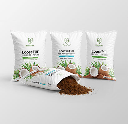 Print & Packaging Design